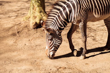 Similar image 13051367