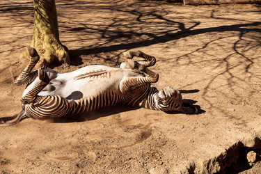 Similar image 13051807