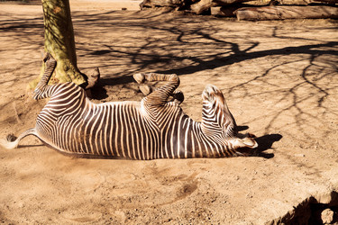 Similar image 13051823