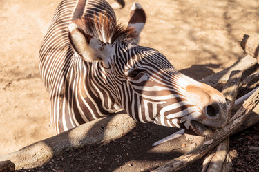 Similar image 13051825