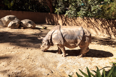 Similar image 13051391