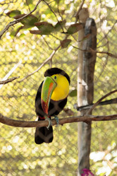 Similar image 13051448