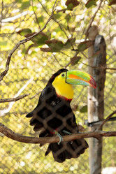 Similar image 13051484