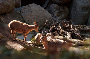 Similar image 13051628