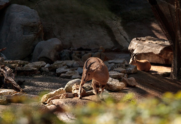 Similar image 13051629