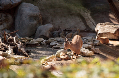 Similar image 13051630