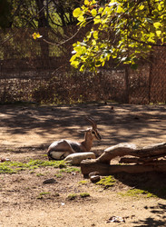 Similar image 13051068