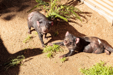 Similar image 13051327