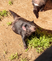 Similar image 13051329