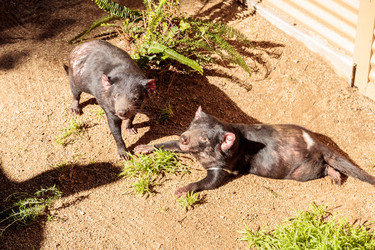 Similar image 13051330