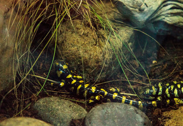 Similar image 13051090