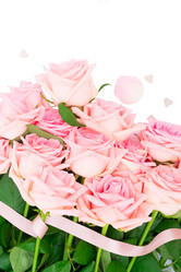 Similar image 13023420