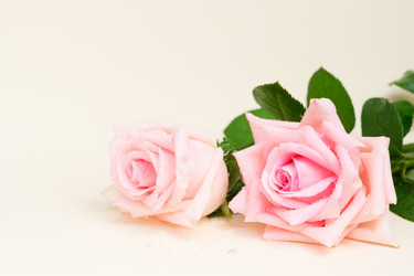 Similar image 13023574