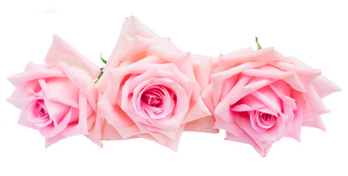 Similar image 13023575