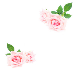 Similar image 13023596