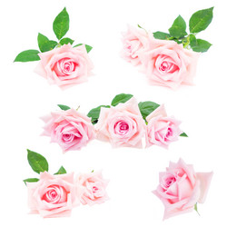 Similar image 13023618