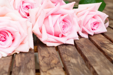 Similar image 13038446