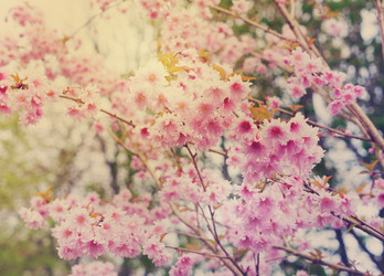 Similar image 13023559