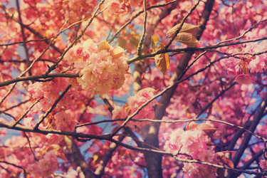 Similar image 13039197