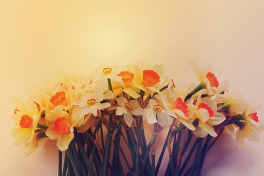 Similar image 13039117