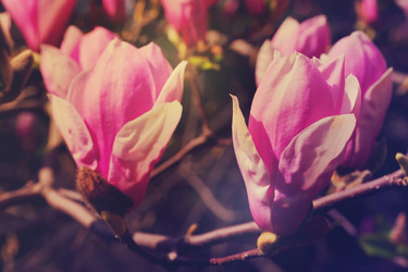 Similar image 13039177