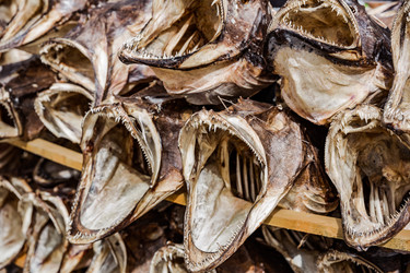 Similar image 13029724