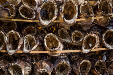 Similar image 13029976