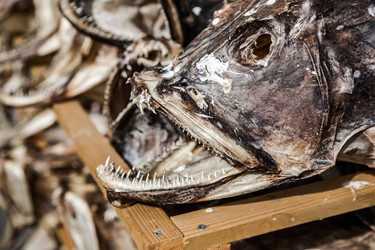 Similar image 13029977