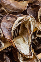 Similar image 13029978