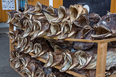 Similar image 13029980