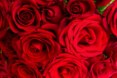 Similar image 13023478