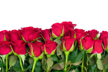 Similar image 13023656