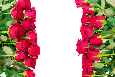 Similar image 13023657