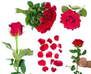 Similar image 13038622