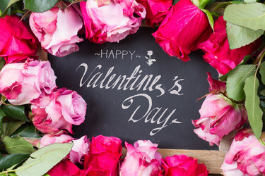 Similar image 13038698