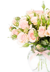 Similar image 13038959