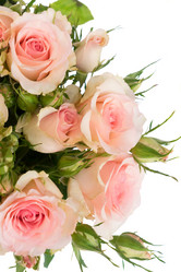 Similar image 13038998