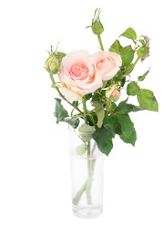 Similar image 13038574