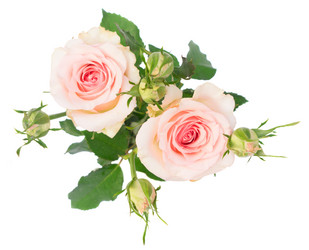 Similar image 13038575