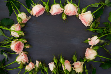 Similar image 13045900