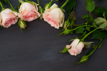 Similar image 13046001