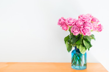 Similar image 13046179