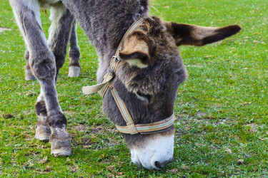 Similar image 13024847