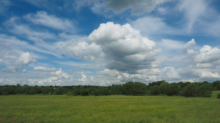 Similar image 13006551