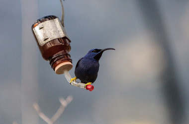 Similar image 13051393