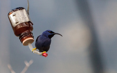 Similar image 13051396