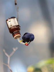 Similar image 13051449