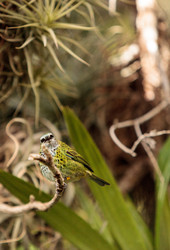 Similar image 13051633