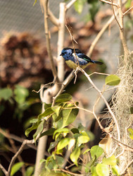 Similar image 13051635