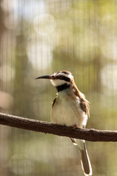 Similar image 13051688